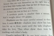 英语文章拍照秒翻译(英语文章拍照翻译软件)