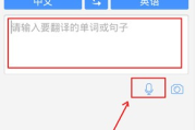 中文翻译英文的翻译器下载安装_中文翻译英文的翻译器下载