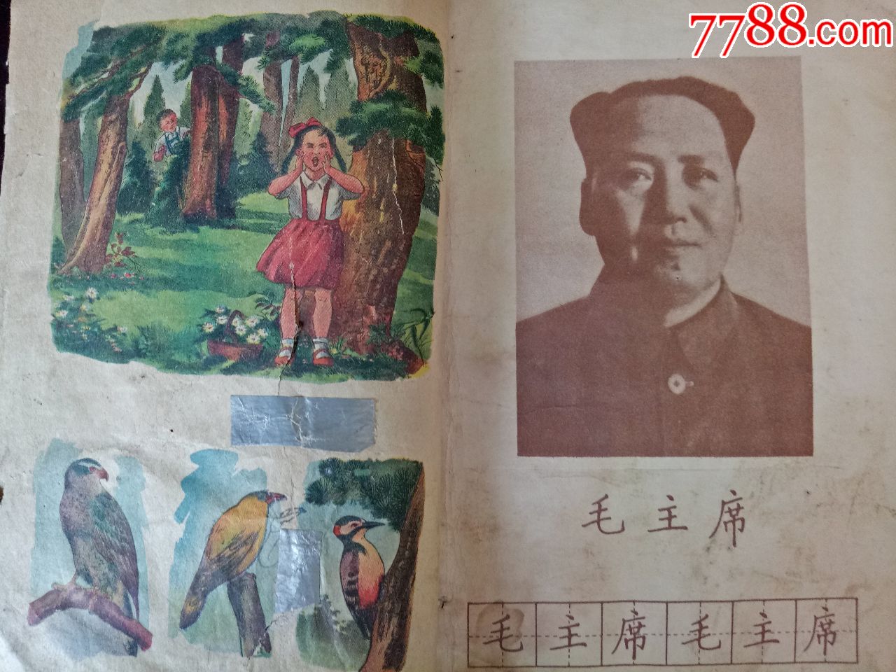 小学语文课本插图_八十年代小学语文课本插图