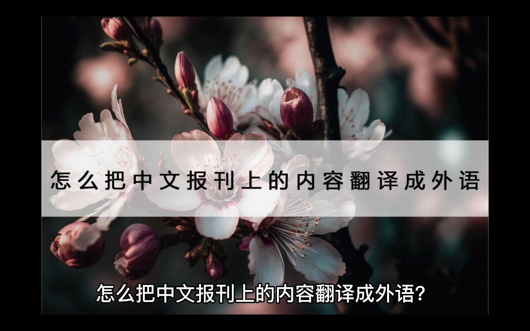 如何把英语翻译成中文英文(如何把英语翻译成中文)